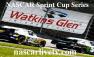 Watch Nascar Sprint Cup Series Cheez It 355 Online